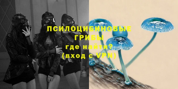 скорость mdpv Белокуриха