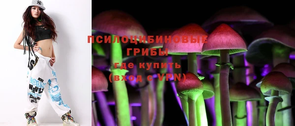 скорость mdpv Белокуриха