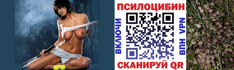 Псилоцибиновые грибы Psilocybine cubensis  где купить наркоту  Богородск 